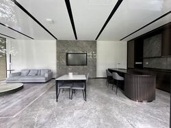Irwell Hill Residences (D9), Apartment #467601761
